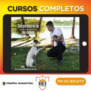 Desafio Cão Obediente - Marcelo Bessa