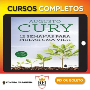 12 Semanas para Mudar uma Vida - Augusto Cury