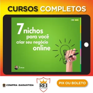 7 Nichos para Você Criar seu Negócio Online - Luiz Nicolak